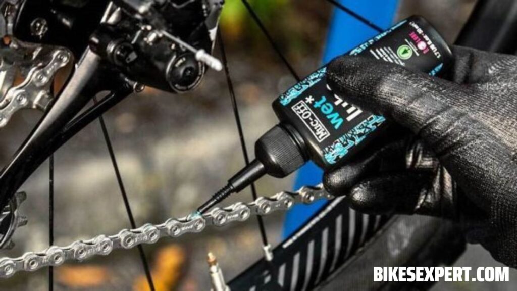 Why Should You Lubricate Your Bike Chain